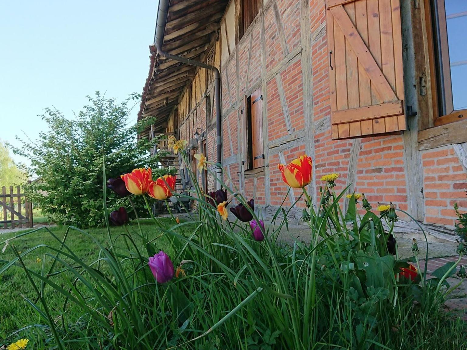 A La Poularde B&B Curciat-Dongalon 部屋 写真