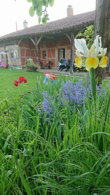 A La Poularde B&B Curciat-Dongalon 部屋 写真